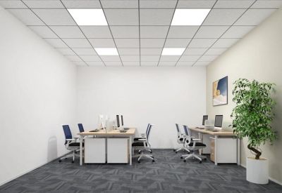 Open-plan workspace with multiple workstations and a large potted plant.