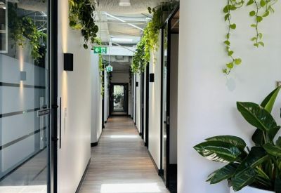 Modern hallway at 41-51, Wentworth Avenue, Sydney featuring white curved walls and hanging greenery.