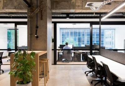 Modern open-plan office featuring timber floors, exposed concrete, and indoor plants.