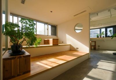 Sunlit communal lounge featuring tiered wooden seating platforms and indoor plants.