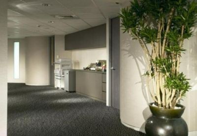 Spacious office corridor with a large potted plant and a beverage station.