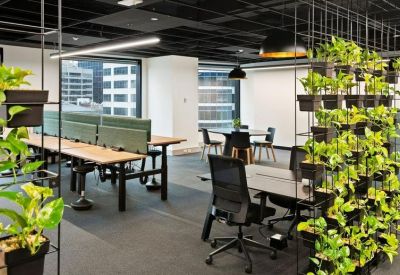 Collaborative office space with wooden desks, ergonomic chairs, and hanging plants.
