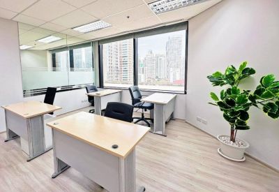 Sunlit private office with multiple white desks, black chairs, and a large indoor plant.