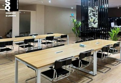 Bright coworking area with long wooden tables and stylish cantilever chairs.
