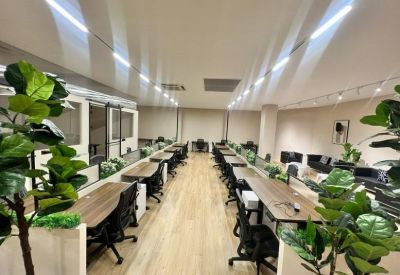 Modern open-plan office with long rows of dark wood desks and indoor greenery.