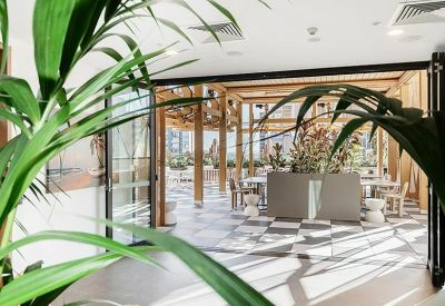 Lush green plants framing a bright lounge area with checkered floors.
