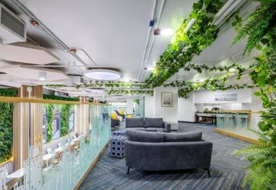 Bright breakout area with grey sofas, hanging ivy plants, and natural light.