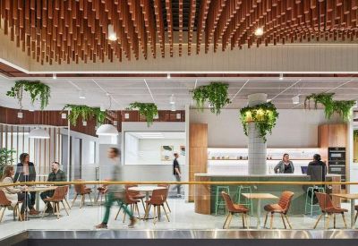 Spacious communal breakout area at 793 Burke Road, Camberwell Place, featuring a timber ceiling and hanging plants.