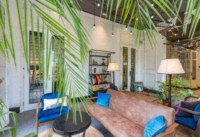 Vibrant lounge area with a leather sofa, blue pillows, and lush indoor palm plants.