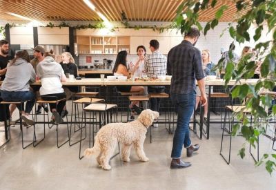 Communal kitchen and dining area with a long wooden table, people, and a friendly dog.