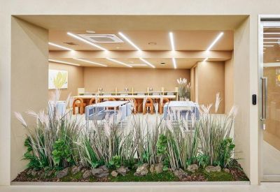 Indoor garden feature with tall grasses inside a modern lounge space.