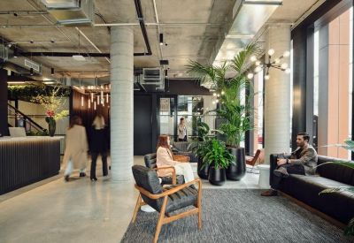 Reception lobby area with a plush grey rug, leather armchairs, large indoor palms, and industrial finishes.