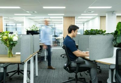 Open-plan workspace with privacy screens, indoor plants, and a person walking in the background.