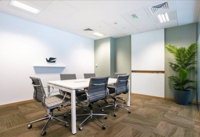 Professional six-person meeting room with a white table, grey mesh chairs, and a large indoor plant.