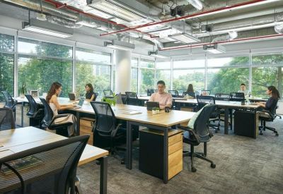 Sunlit open-plan office with rows of wooden desks and large windows overlooking trees.