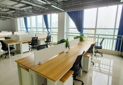 Light-filled workspace with wooden desks facing large windows with blue curtains.