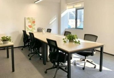 Bright meeting room featuring a long light-wood table, black mesh chairs, and potted plants.