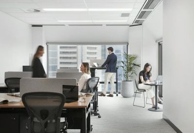 Bright open-plan office with timber desks, ergonomic chairs, and large windows.
