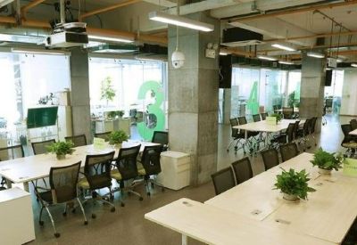 Large meeting room with long white tables, green plants, and industrial ceiling details.
