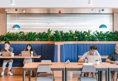 Modern coworking area with built-in booth seating and vibrant green plants.