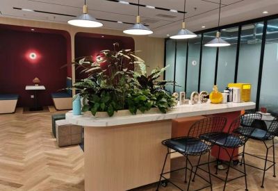 Modern breakout counter with bar stools, indoor plants, and stylish pendant lighting.