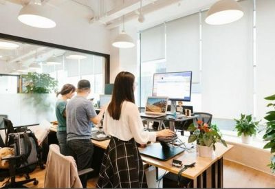 Bright open-plan workspace with standing desks, potted plants, and natural light.