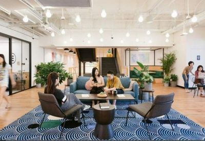 Lounge area with a patterned blue rug, grey armchairs, and a large green plant.