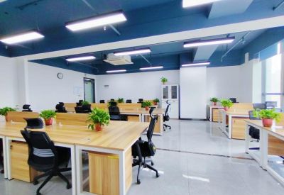 Open-plan office with light wood desks, ergonomic chairs, and small green plants under bright lighting.