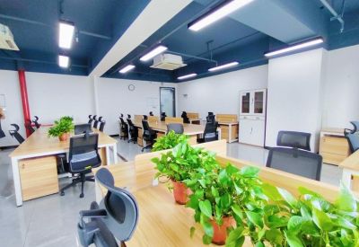 Bright workspace featuring several wooden desks separated by vibrant green potted plants.