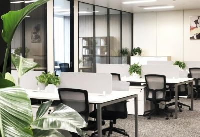 Bright open-plan workspace featuring white desks, black mesh chairs, and vibrant green indoor plants.