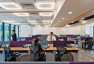 Modern open-plan office featuring purple privacy screens and ergonomic seating.