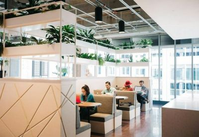 Bright breakout space featuring tiered wooden planters with greenery and private seating booths.