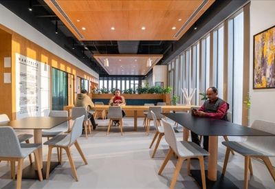 Modern lounge area featuring a grey sofa, wooden ceiling accents, and vibrant indoor plants.