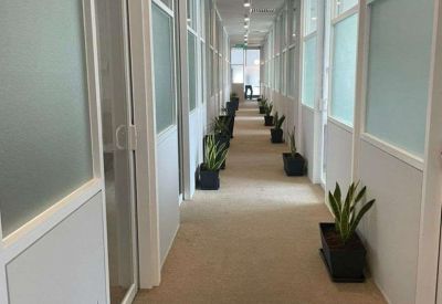 Bright office corridor lined with private suites and decorative floor plants.
