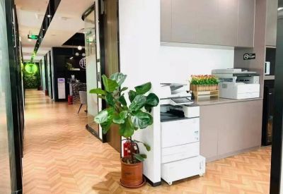 Modern corridor with a leafy green plant next to office printer stations.