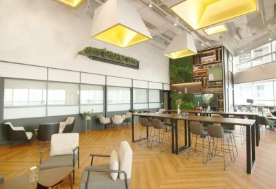 Lounge area with wooden flooring, high tables, and a feature green wall.