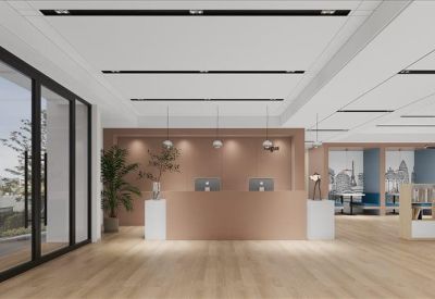 Minimalist reception area with a wood-finished desk, indoor plants, and overhead track lighting.