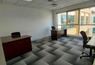 Bright private office with two wooden desks and geometric pattern grey carpet.