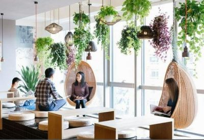 Sunlit coworking space with hanging plants and unique wooden teardrop swing chairs.