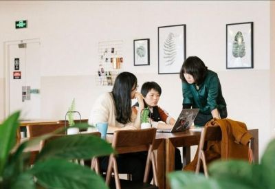 Colleagues collaborating at a wooden table in a bright breakout area with indoor plants.