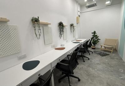 Communal workstation area featuring a long white desk with black mesh chairs and potted greenery on wall shelves.