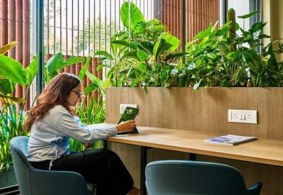 Bright coworking desk area featuring lush green potted plants and natural wooden surfaces.