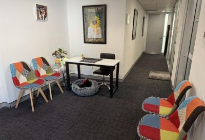 Waiting area with vibrant patchwork chairs, a desk, and a pet bed.