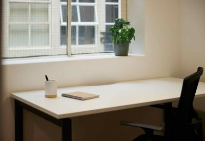 Private white desk by a large window with a potted plant and natural light.