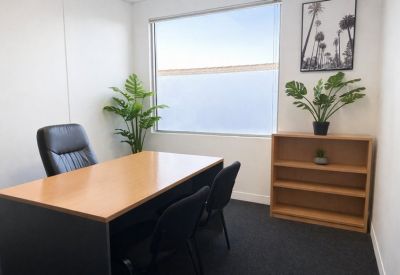 Bright private office featuring a wooden desk, leather chair, and lush indoor plants by a window.