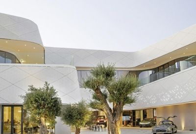 Outdoor courtyard featuring mature olive trees and a sleek white architectural design.
