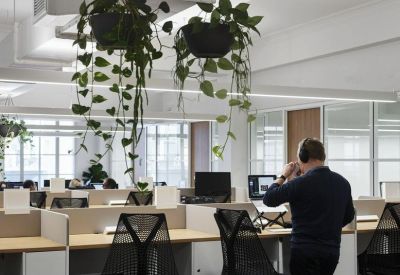 Open-plan office space featuring hanging plants and ergonomic workstations.