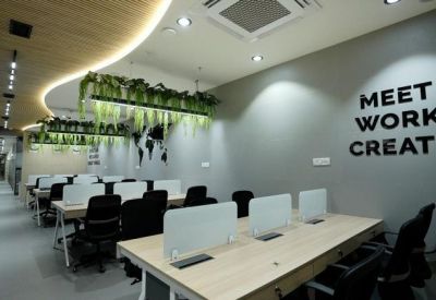 Bright open-plan coworking area with hanging greenery and wooden ceiling features.