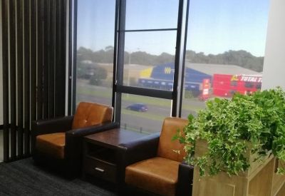Breakout area with tan leather armchairs and lush green plants by a large window.