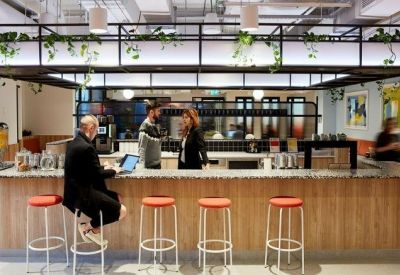 Modern office kitchen and bar area with hanging plants and red bar stools.